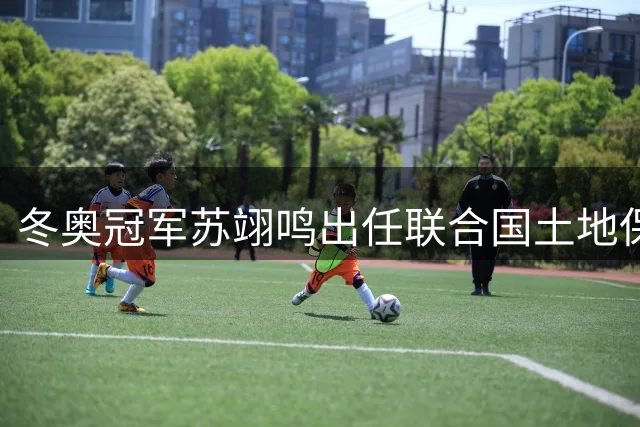 冬奥冠军苏翊鸣出任联合国土地保护大使